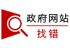 政府网站找错